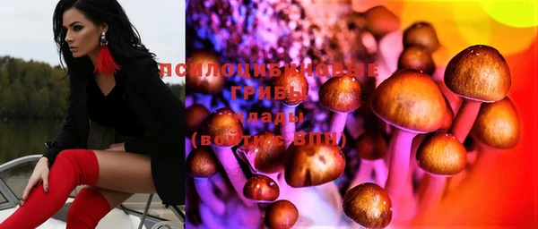 таблы Алзамай