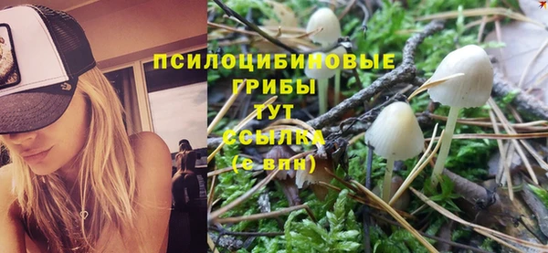 таблы Алзамай