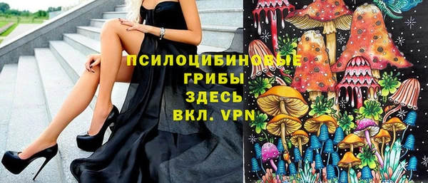 таблы Алзамай