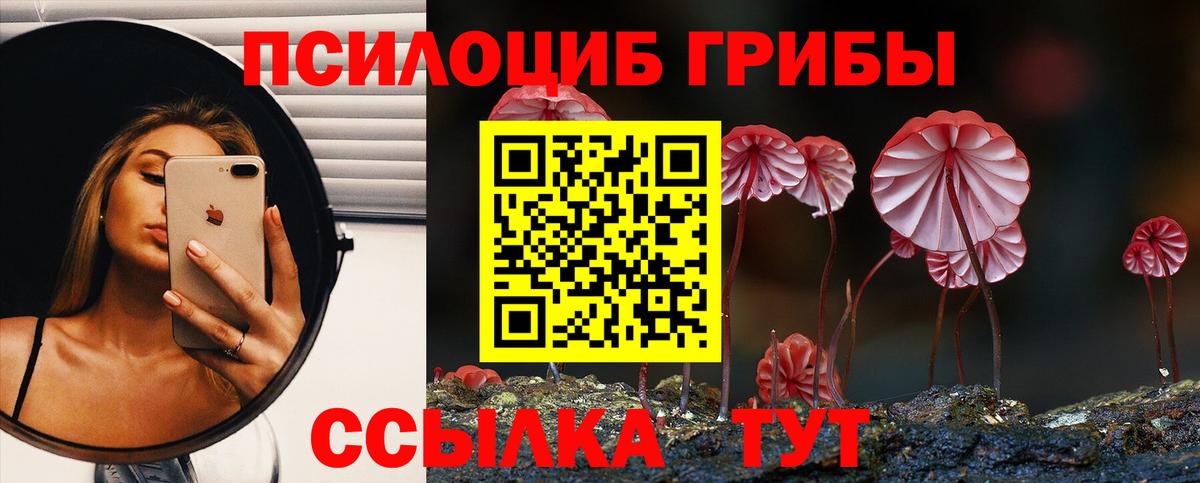 Псилоцибиновые грибы мухоморы Ипатово